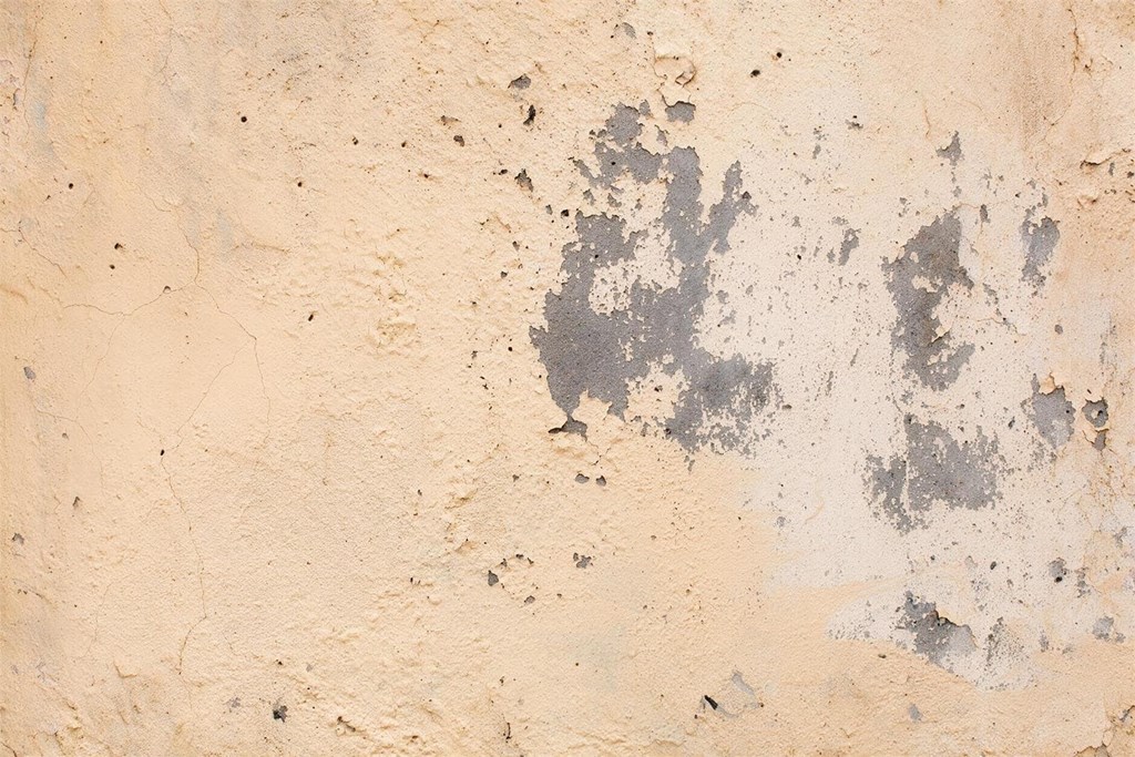 4 pasos clave para sanear una pared con humedad antes de pintarla