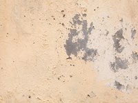 4 pasos clave para sanear una pared con humedad antes de pintarla